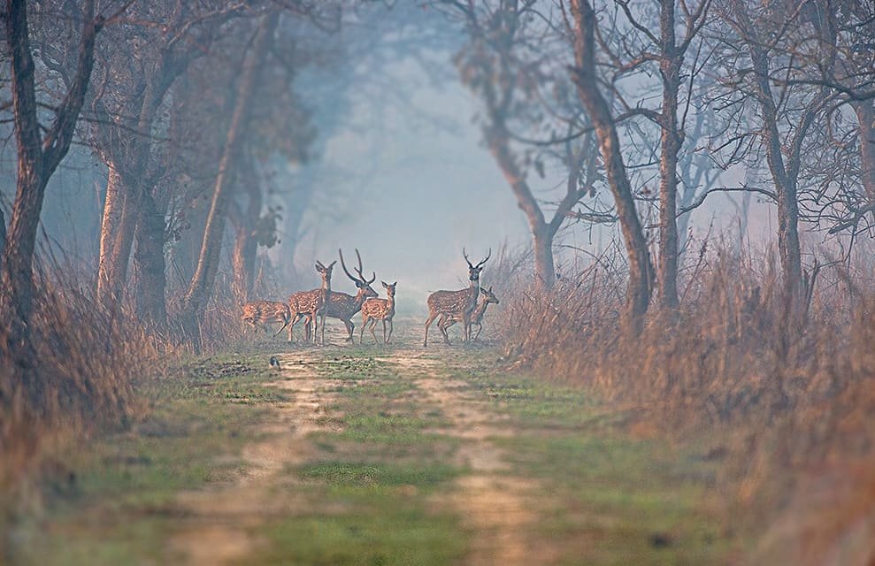All National Parks in India
