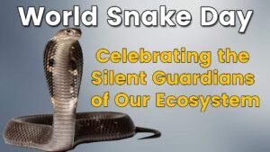 World Snake Day: Celebrating the Silent Guardians of Our Ecosystem