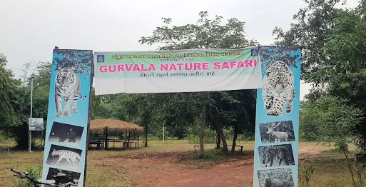Gurvala Nature Safari All Information