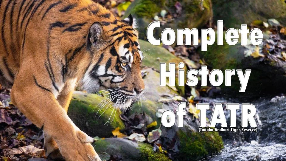 Complete History of TATR