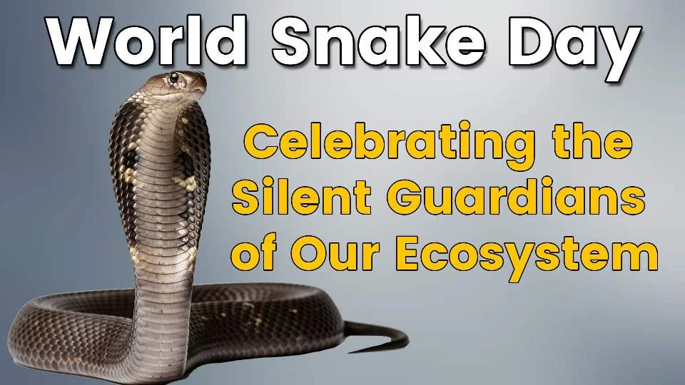World Snake Day: Celebrating the Silent Guardians of Our Ecosystem